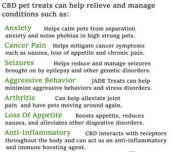 CBD Pet Treat Benefits
