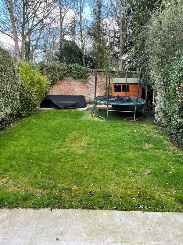 lawn before being treated by Lawnurture