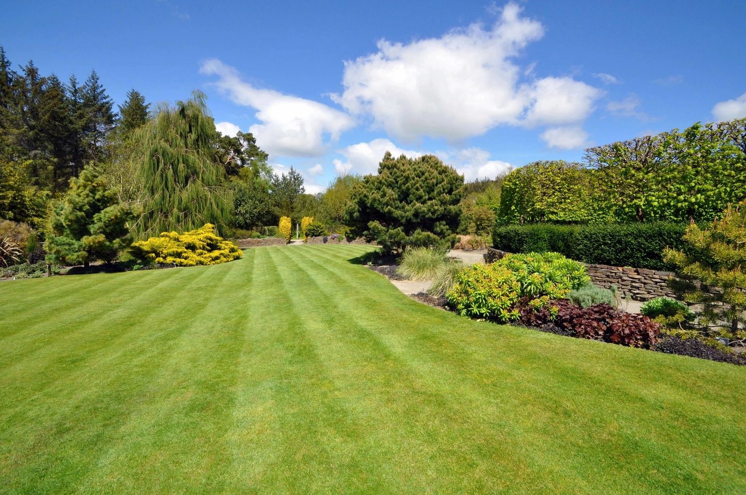 Lawnurture lawn care providing a lush green lawn