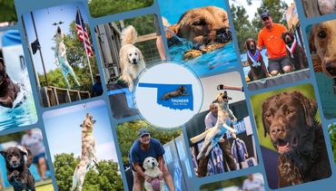 Oklahoma Thunder collage