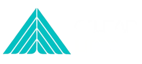 GILEAD LIFTS LTD