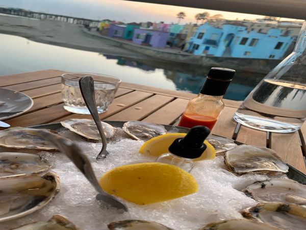 Oysters with a view in Capitola, CA