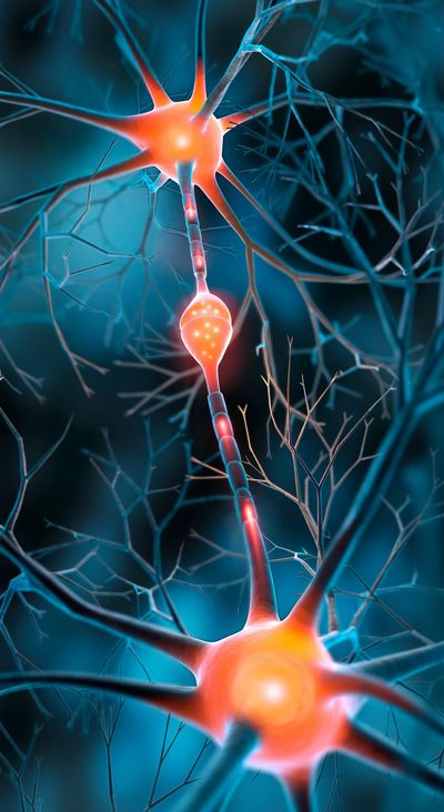 Close-up of glowing neurons with synapse.
