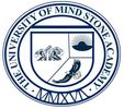 The University of MIND STONE ACADEMY LOGO