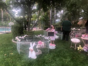 Outdoor petting zoo birthday party featuring goats, bunnies, and joyful children in Chino Hills