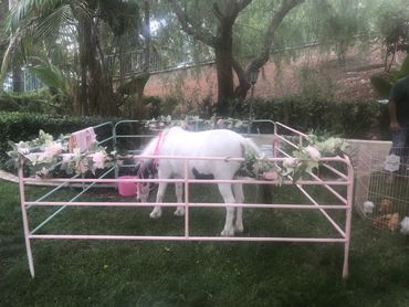 a unicorn corral for children's parties