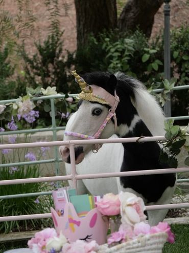 “Whimsical unicorn party setup with soft music, flowers, and a unicorn for children to enjoy.”