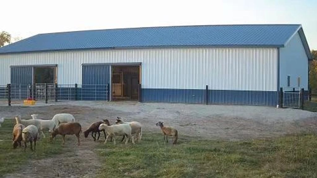 Barn with blue roof with sheep in front of it