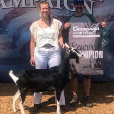 Two people pose with a black and white goat at a county fair.