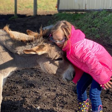 a girl and a donkey stand facing each other with their heads touching.