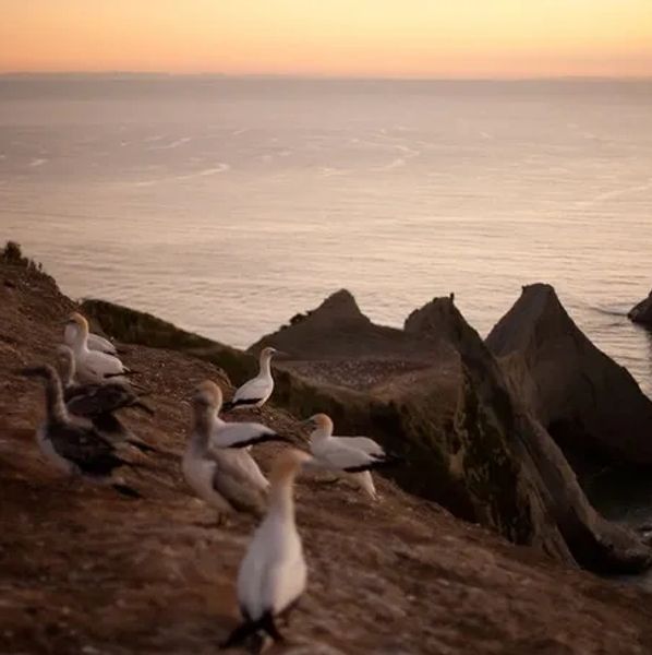 Ocean with birds sitting on rocks