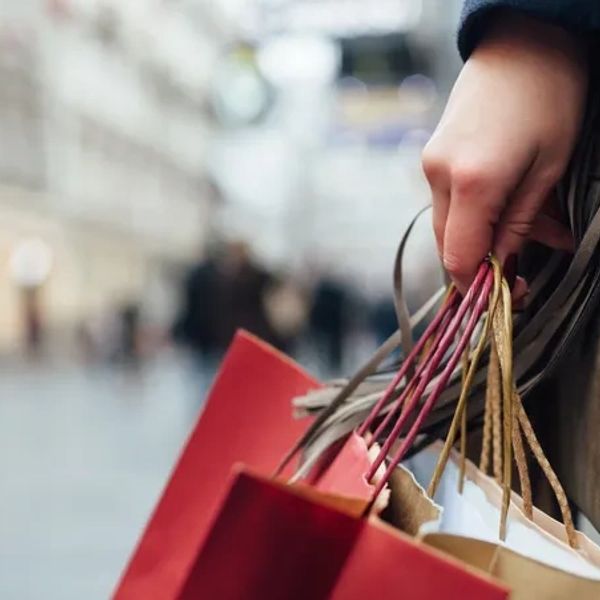 person holding shopping bags