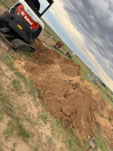 Bobcat excavator digging a large hole in a grassy field with horses in the background.