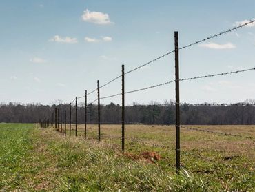 Long barbed wire fence dividing grassy fields under a clear sky.