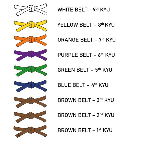 Small Circle Jujitsu Kyu Ranking