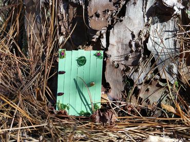 green faerie door by tree, interdimensional portal