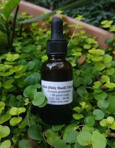 Tulsi Holy Basil tincture bottle