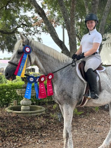Girl on gray horse with horse show ribbons on display.
