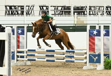 Chestnut horse jumping Texas flag jump with girl.