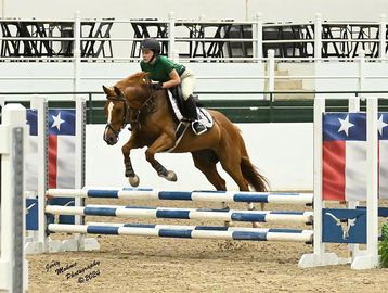 Chestnut horse jumping Texas flag jump with girl riding.