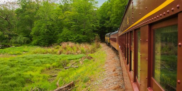 A view from one of our Vintage coaches riding the rails in Honesdale, PA