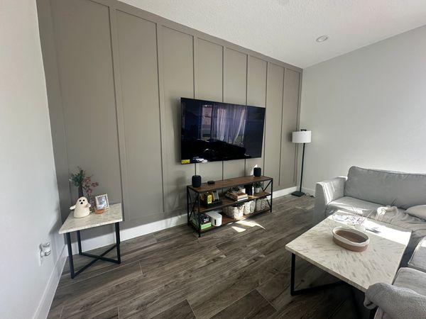 Accent wall and TV Mount