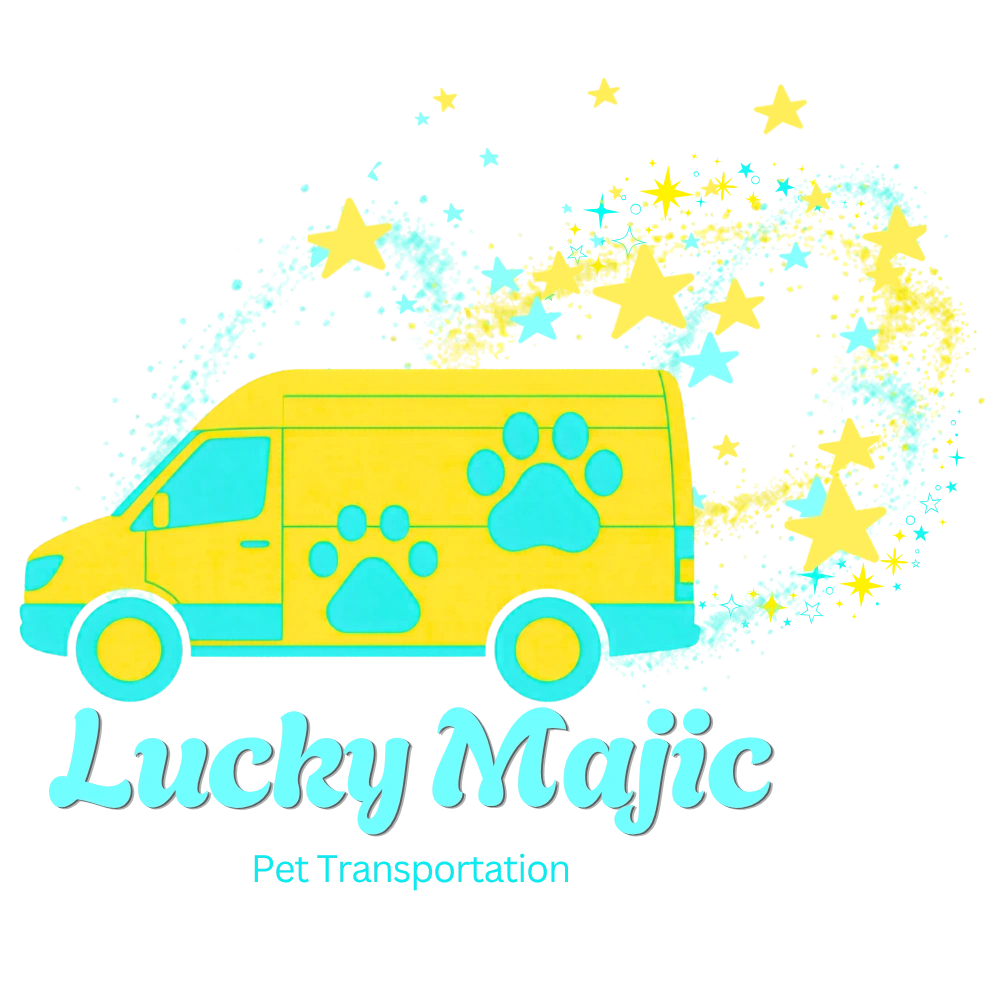 Yellow van with paw prints and magical stars, representing pet transportation.