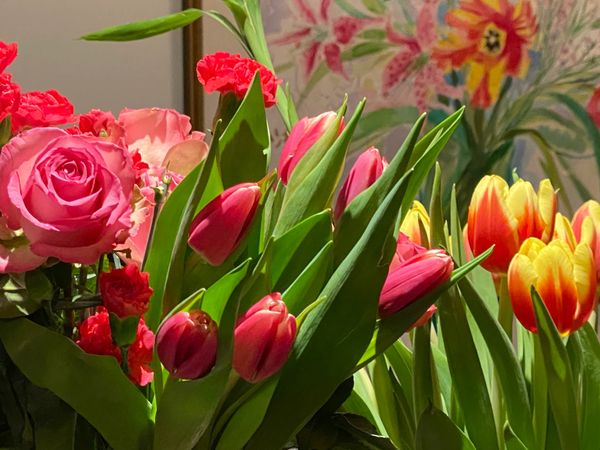 Tulips and Healing