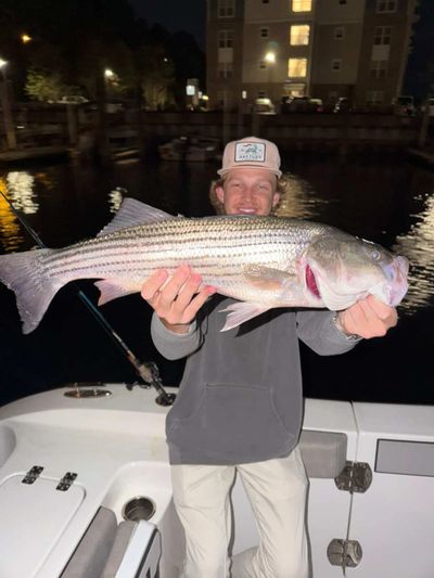 Man proudly holds a large striped bass on a boat at night.