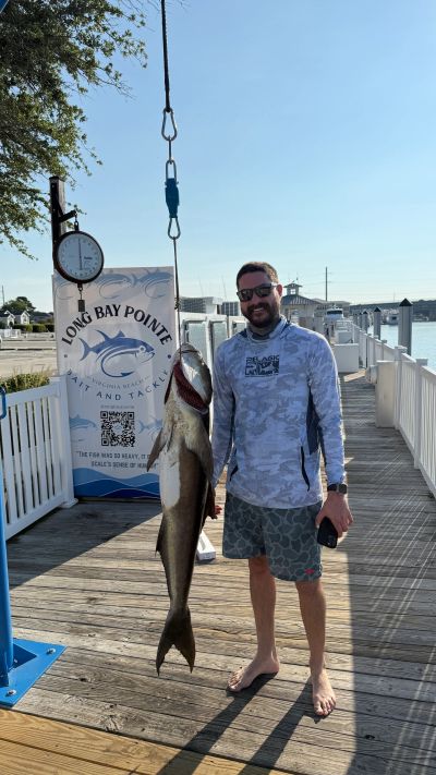 Man standing next to a large fish hanging on a scale.
