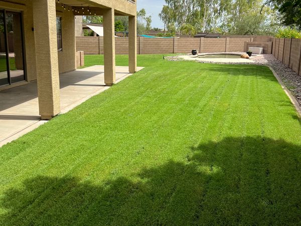 Freshly mowed lawn in  NW Peoria, AZ.