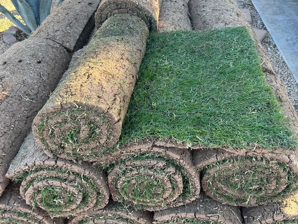 Fresh sod rolls for installation in Peoria and Surprise, AZ.