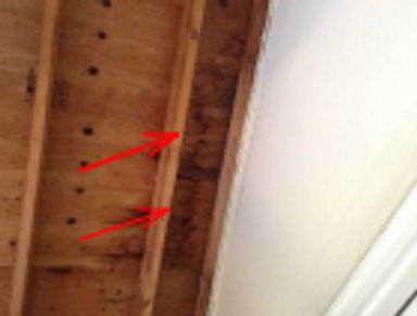 Water stains found on a garage ceiling during a home watch inspection.