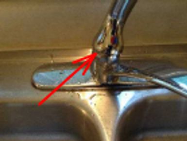 Leaking kitchen faucet noticed during a home watch inspection.