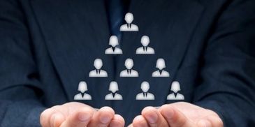 Coach ejecutivo, coach de equipos, coach de negocios, certificación coaching