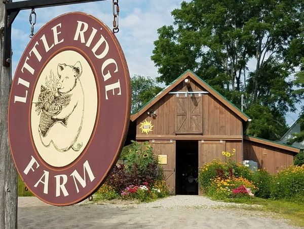 Little Ridge Farm sign with pig holding basket, rustic barn, and flowers.