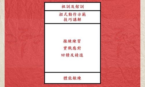 詠春拳。系統課程, 現代人。傳統中華文化武術。葉問詠春拳術。祖訓及館訓,招式動作示範,技巧講解,操練練習,實戰應對,回饋及精進,體能鍛練。