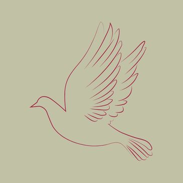 An image depicting a bird symbolizing the holy spirit.