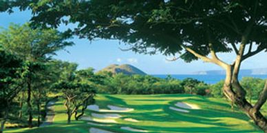 Wailea Golf