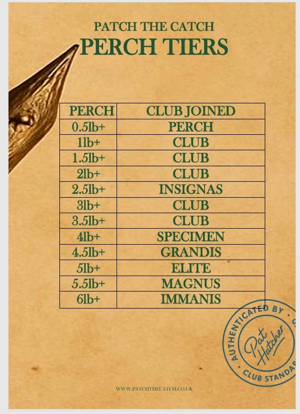 Fishing perch tiers chart showing weight classes and clubs.
