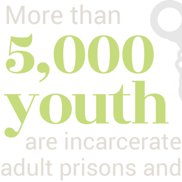 youth, juvenile justice, adult prison and jails, serena nunn, equity, inclusion