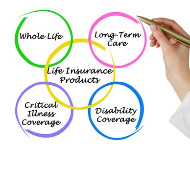 Venn diagram of life insurance products categories.