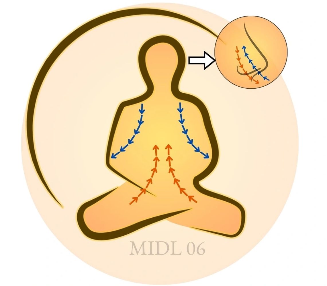 Instructional image from the free Online MIDL Insight Meditation Course by Stephen Procter.