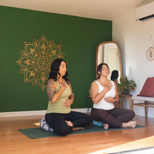 2 yogis in seated meditation