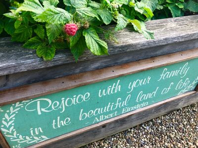 Enjoy Desserts by Claudia & rejoice with your family at Mambo Italia, 424 Broad Street, Sewickley.