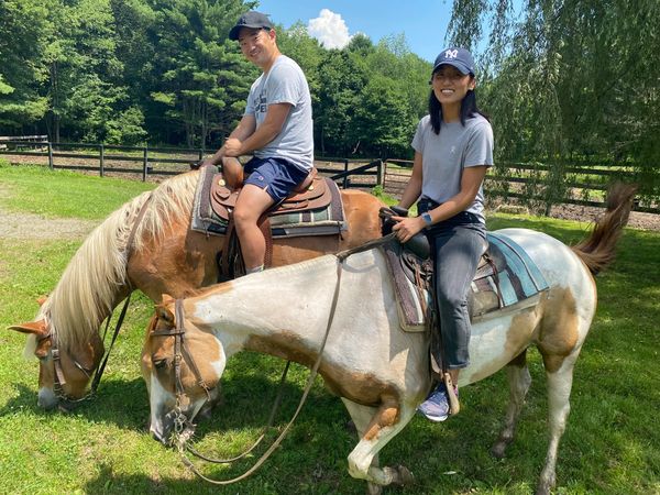 Braden Brook Stables