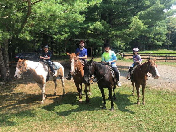 Braden Brook Stables