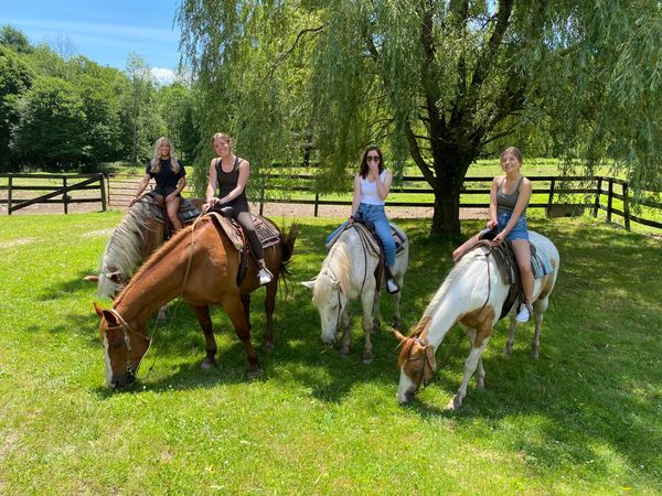 Braden Brook Stables