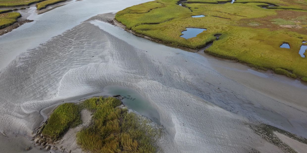 A marshland with water channels and grassy patches.