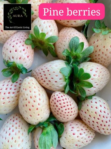 pineberries